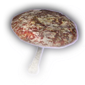 Rotten Mushroom image