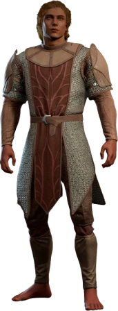 Chain Mail High Elf Front