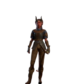 Model
