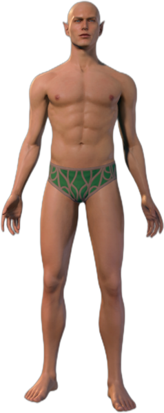 File:Underwear Elf 1.png
