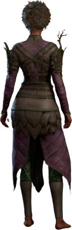 Armour of the Sporekeeper Human Back