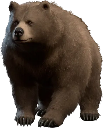 File:Halsin Bear Model.webp