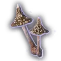Thumbnail for version as of 10:11, 31 March 2024