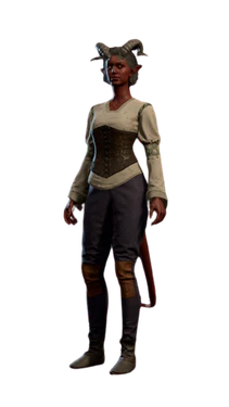 Rechel's early access model.