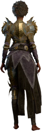 Blackguard's Plate Human Back