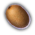 Thumbnail for version as of 13:55, 4 October 2023