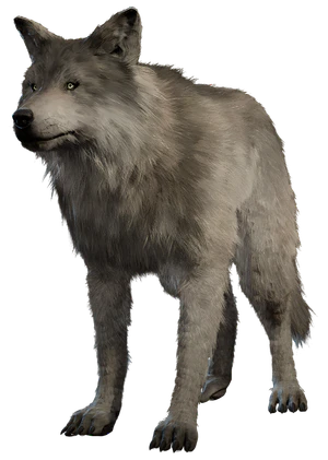 Model