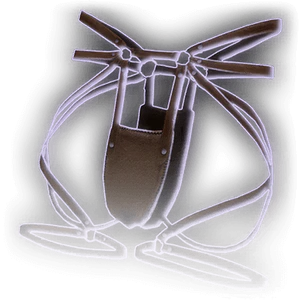 Lae'zel's Underwear image