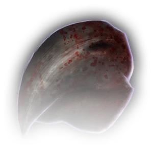 Owlbear Beak image