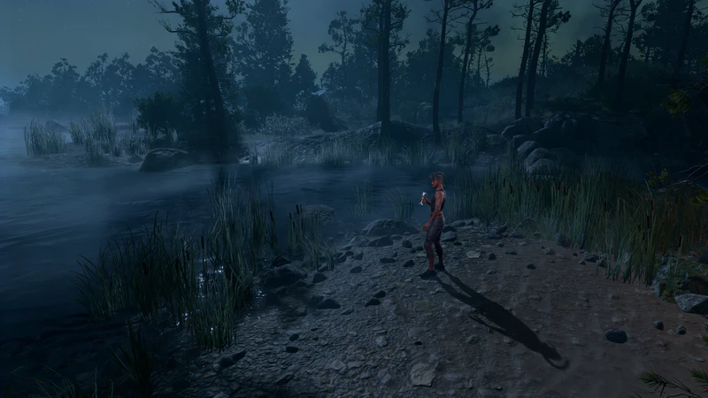 File:Celebration Wyll.png