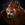 Gnoll Hunter