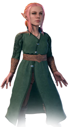 Wizard's default armour