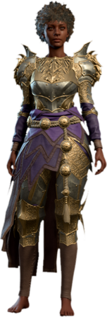 Plate Armour +1 Human Front