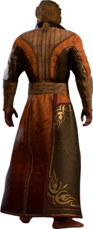 Obsidian Laced Robe Half-Elf Back