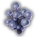 Thumbnail for version as of 22:11, 4 October 2023