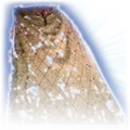 Thumbnail for version as of 19:38, 7 December 2023