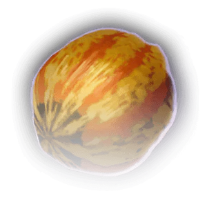 Carnival Squash image