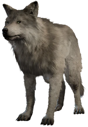 Model