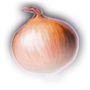 Onion image