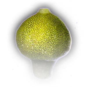 Poison Spore image