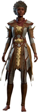 Scale Mail +2 Human Front