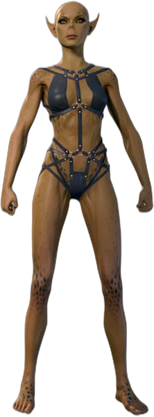 Black Underwear Githyanki Front