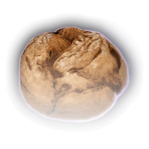 Sunflower Seed Bun image