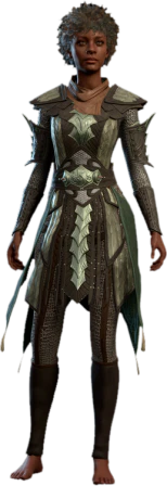 Yuan-Ti Scale Mail Human Front