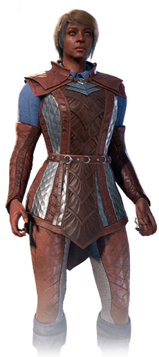 Fighter's default armour