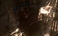 Thumbnail for version as of 06:04, 15 March 2023