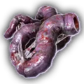 Thumbnail for version as of 10:53, 31 March 2024