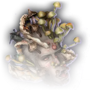 Blooming Drow Head image