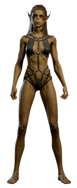 File:Lae'zel Underwear Front.png