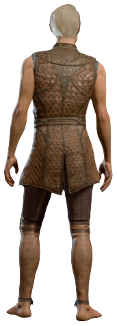 File:Leather Armour Minsc Half-Elf Back Model.webp
