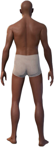 Underwear Human Back