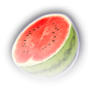 Sunmelon Half image