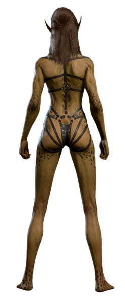 File:Lae'zel Underwear Back.png