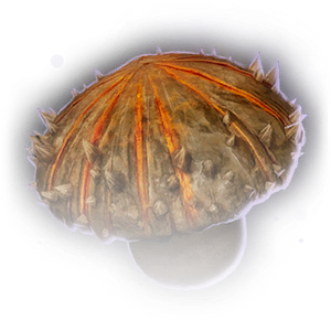 Tooltip