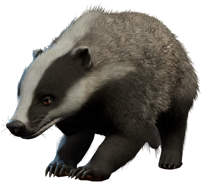 File:Badger Model.png