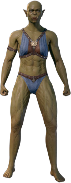 Underwear Half-Orc Front