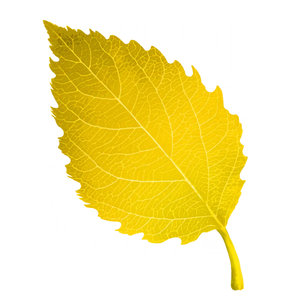 File:Sticker Env Leaf 3.webp