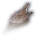 Thumbnail for version as of 21:51, 5 January 2024