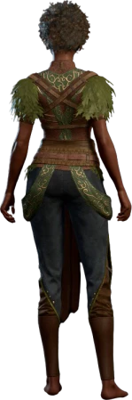 Druid Leather Armour Human Back