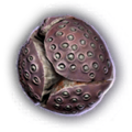 Thumbnail for version as of 19:53, 26 September 2023