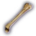 Thumbnail for version as of 08:25, 12 April 2024