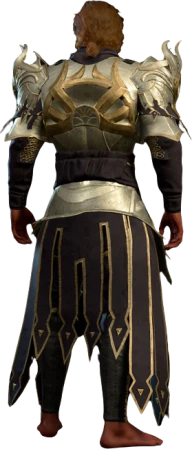 Dark Justiciar Mail High Elf Back