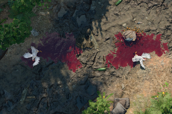 Dead Chicken at Rivington