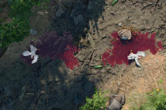 Dead Chicken at Rivington