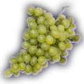 Thumbnail for version as of 10:44, 4 October 2023