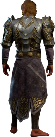 Blackguard's Plate High Elf Back